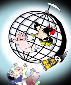 international cartoon competitions