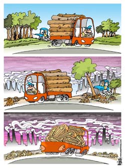 international cartoon competitions