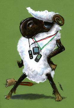international cartoon competitions