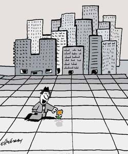 international cartoon competitions