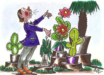 international cartoon competitions