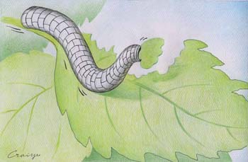 international cartoon competitions