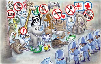 international cartoon competitions