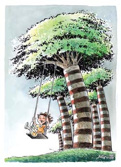 international cartoon competitions