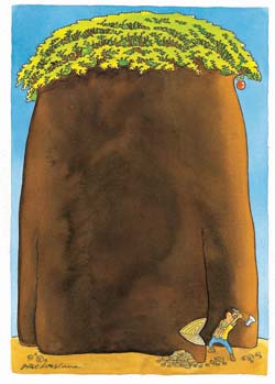 international cartoon competitions