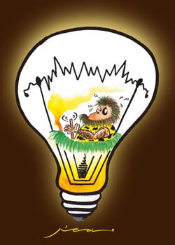 international cartoon competitions