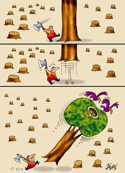 international cartoon competitions