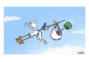 international cartoon competitions