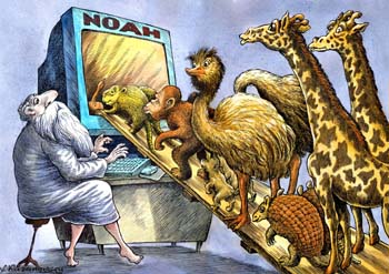 international cartoon competitions