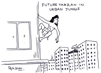 international cartoon competitions