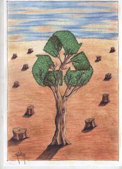 international cartoon competitions
