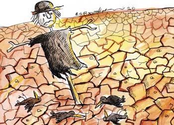 international cartoon competitions