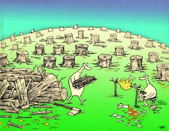 international cartoon competitions