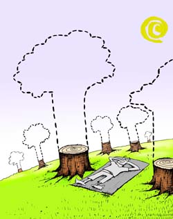 international cartoon competitions