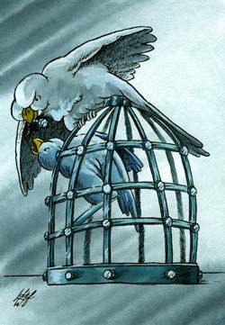 international cartoon competitions