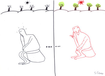 international cartoon competitions