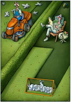 international cartoon competitions