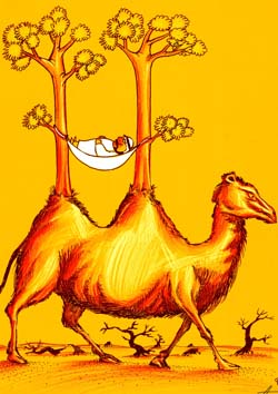 international cartoon competitions