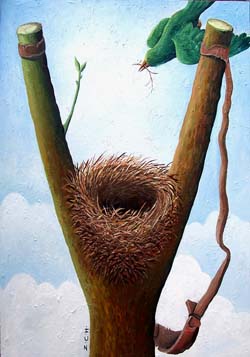 international cartoon competitions