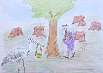 international cartoon competitions