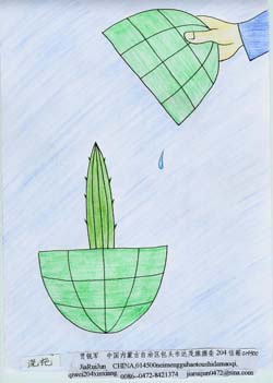 international cartoon competitions