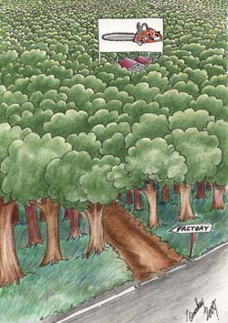 international cartoon competitions