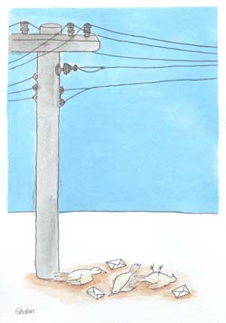 international cartoon competitions