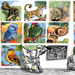 international cartoon competitions