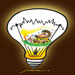 international cartoon competitions