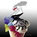 international cartoon competitions