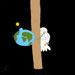 international cartoon competitions