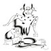 international cartoon competitions