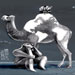 international cartoon competitions
