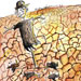 international cartoon competitions