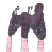 international cartoon competitions