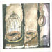 international cartoon competitions