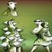 international cartoon competitions