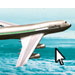 umo international cartoon competitions