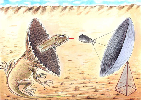 umo international cartoon competitions