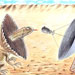 umo international cartoon competitions
