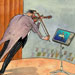 umo international cartoon competitions