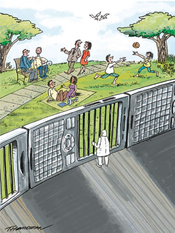 umo international cartoon competitions